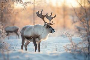 Reindeer standing in the snow winter background.Generative Ai. photo