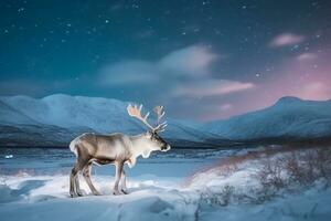 Reindeer in the snow with aurola light.Generative Ai. photo