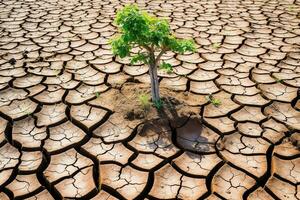 Green tree with cracked dry ground ,Environmental Conservation Day Concept.Generative Ai. photo