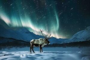 Reindeer in the snow with aurola light.Generative Ai. photo