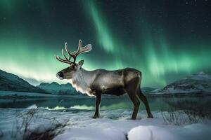 Reindeer in the snow with aurola light.Generative Ai. photo