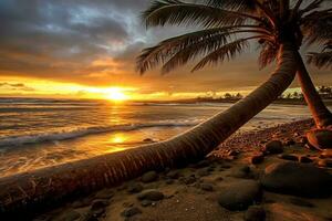 Sunrise hawaii with coconut tree.Generative Ai. photo