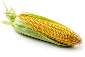 Corn isolated on white background.Generative Ai. photo