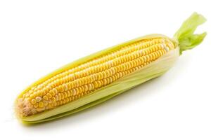 Corn isolated on white background.Generative Ai. photo