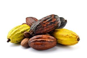 Fresh cocoa fruits isolated on white background.Generative Ai. photo