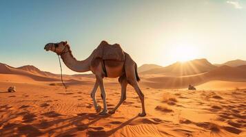 Camel in the desert with blue sky.Generative Ai. photo