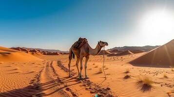 Camel in the desert with blue sky.Generative Ai. photo