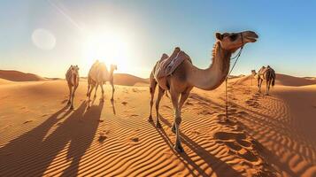 Camel in the desert with blue sky.Generative Ai. photo