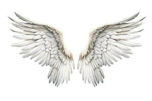 Wings isolated on white background.Generative Ai. photo