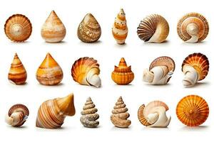 Set of various mollusk shells isolated on white background.Generative Ai. photo