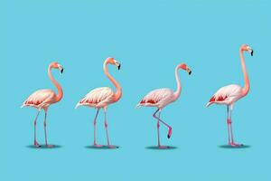 Flamingo isolated on blue background.Generative Ai. photo