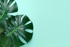 Monstera leaves on green pastel minimal background.Generative Ai. photo