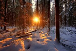 Winter forest snow with sunrise.Generative Ai. photo
