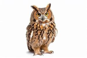 Owl isolate on white background.Generative Ai. photo