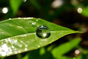 Drop water on green leaf.Generative Ai. photo