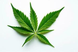 Cannabis leaves on white background.Generative Ai. photo