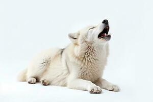 Howling white wolf isolated on white background.Generative Ai. photo