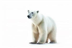 Polar bear isolated on white background .Generative Ai. photo