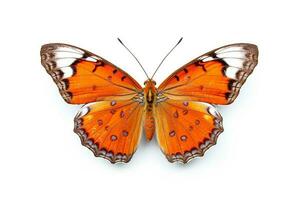 Butterfly isolated on white background.Generative Ai. photo