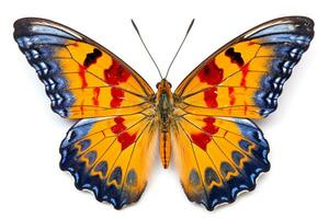 Butterfly isolated on white background.Generative Ai. photo