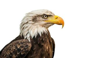 Eagle isolated on white background.Generative Ai. photo