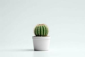 Cactus in pot isolated on white background.Generative Ai. photo