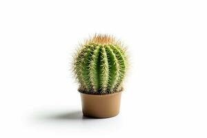 Cactus in pot isolated on white background.Generative Ai. photo