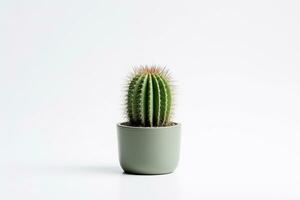 Cactus in pot isolated on white background.Generative Ai. photo