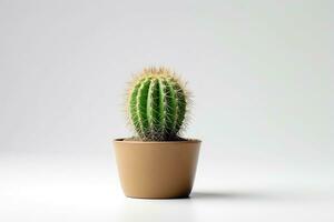 Cactus in pot isolated on white background.Generative Ai. photo