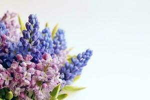 Beautiful purple flowers on white background with copy space.Generative Ai. photo