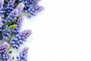 Beautiful purple flowers on white background with copy space.Generative Ai. photo