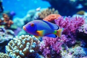 Colorful beautiful fish in the sea with beautiful corals .Generative Ai. photo