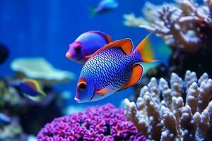 Colorful beautiful fish in the sea with beautiful corals .Generative Ai. photo