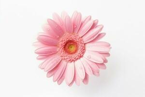 Pink gerbera flower isolated on white background.Generative Ai. photo