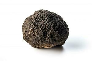 Black truffle mushroom isolate on white background .Generative Ai. photo