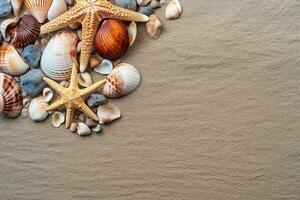 Top view of sandy beach with shells and starfish photo