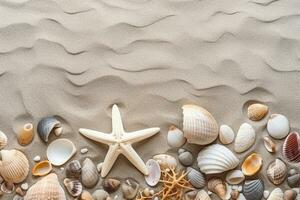 Top view of sandy beach with shells and starfish photo