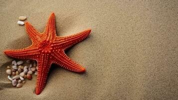 Beautiful red starfish on sand sea photo