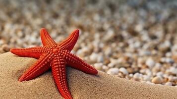 hermosa rojo estrella de mar en arena mar foto