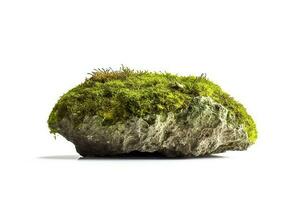 Green moss on stone isolated on white background photo