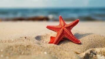 Beautiful red starfish on sand sea photo