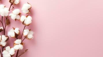 Pink minimalist background with cotton pads photo