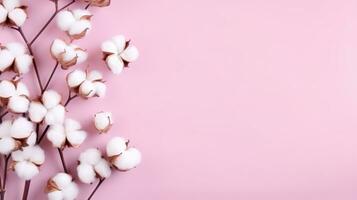 Pink minimalist background with cotton pads photo