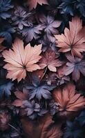 A dark background with many leaves in the foreground photo