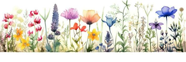 Watercolor floral border photo