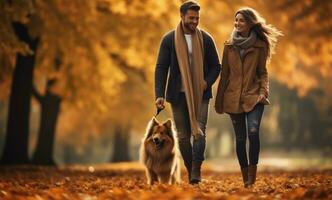 couple walking their dog in autumn park photo