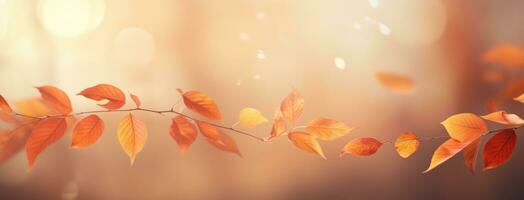 Abstract background with autumn leaves photo