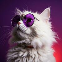 Cool cat in sunglasses on vivid background photo