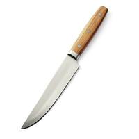 Kitchen knife isolated photo