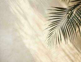 Beige background with palm leaves photo